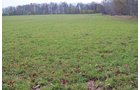 Property photo 42 - 80 Acres & Home - Property Offered in 4 Tracts from 2.3 to 30.0 Acres